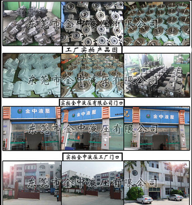 AR16變量柱塞泵 從機械通用到專業液壓系統的核心動力